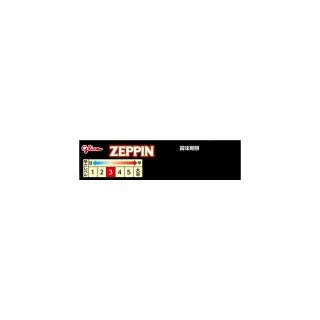 カレーZEPPIN 中辛 展開図